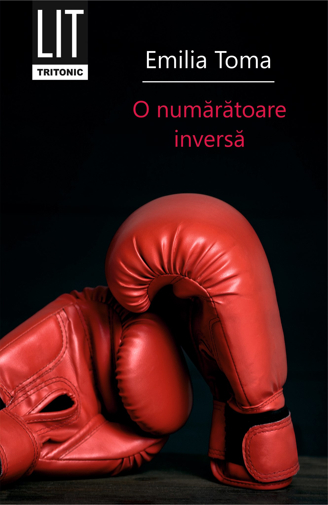 O numaratoare inversa (Paperback)