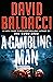 Gambling Man Thrillers Fict...