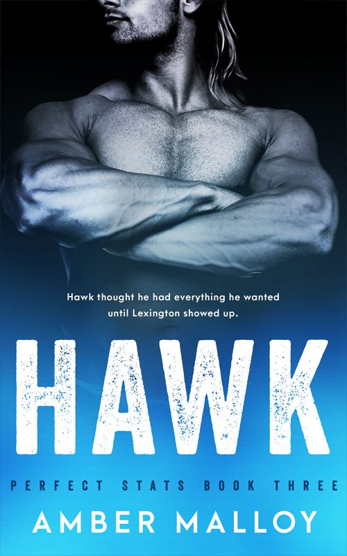 Hawk (Perfect Stats, #3)