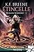 Etincelle (Reagan Somerset, #1)