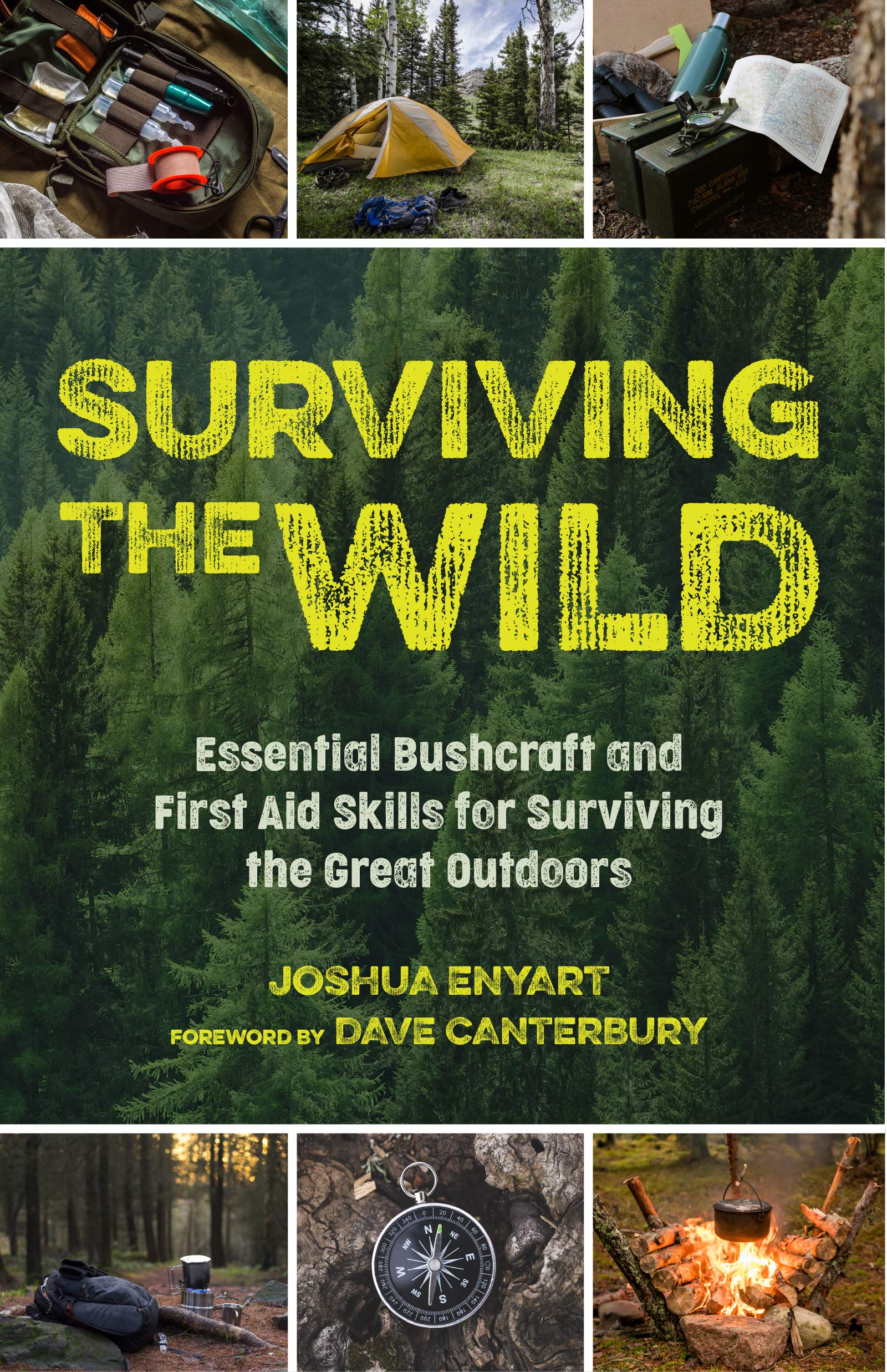 Surviving the Wild: Essential Bushcraft and First Aid Skills for Surviving the Great Outdoors (Kindle Edition)
