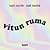 Vitun ruma