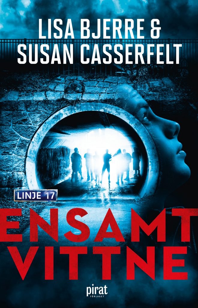 Ensamt vittne (Hardcover)