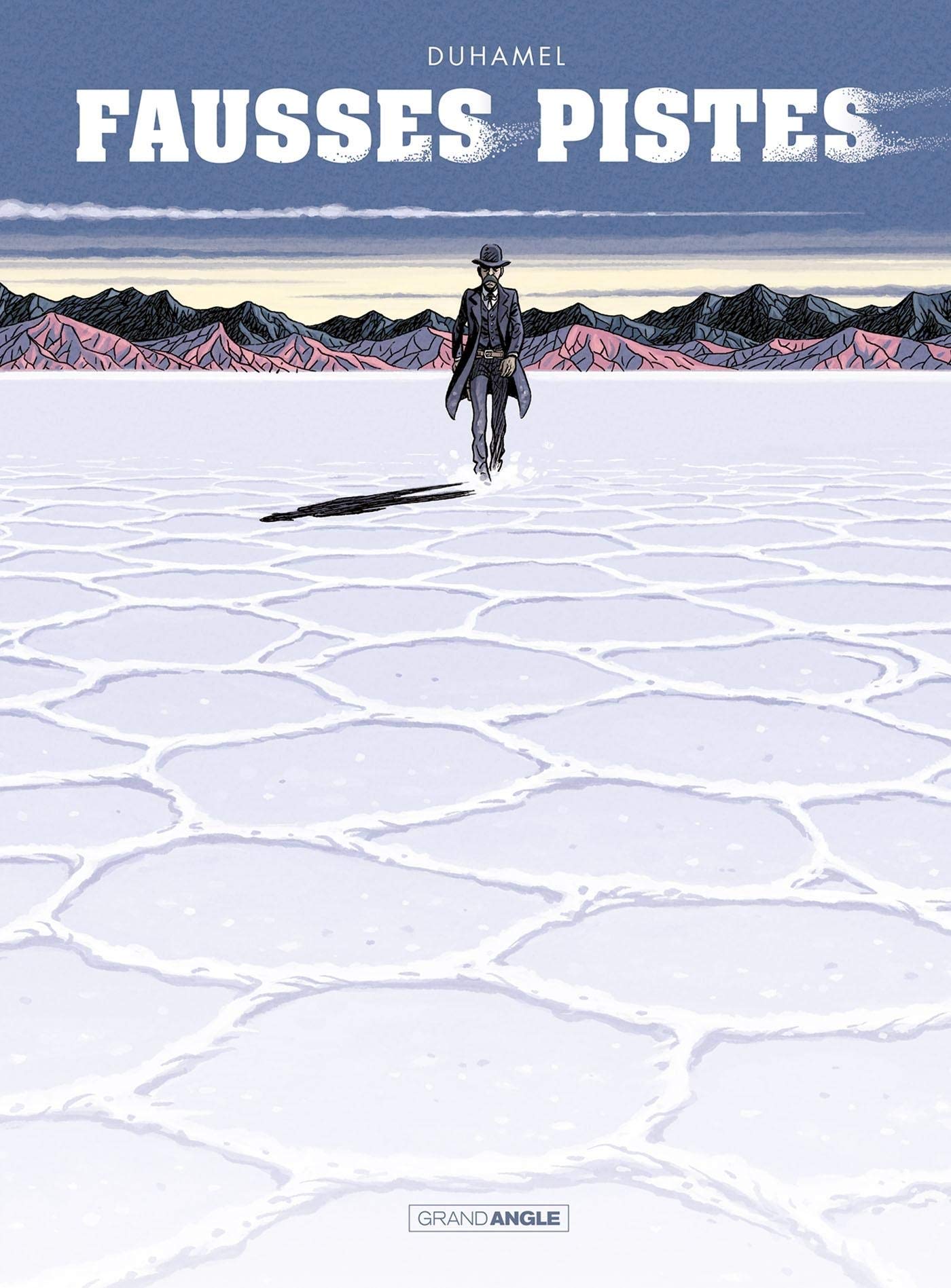 Fausses pistes (Hardcover)