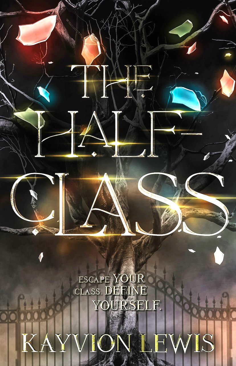 The Half-Class (The Class Chronicles, #1)