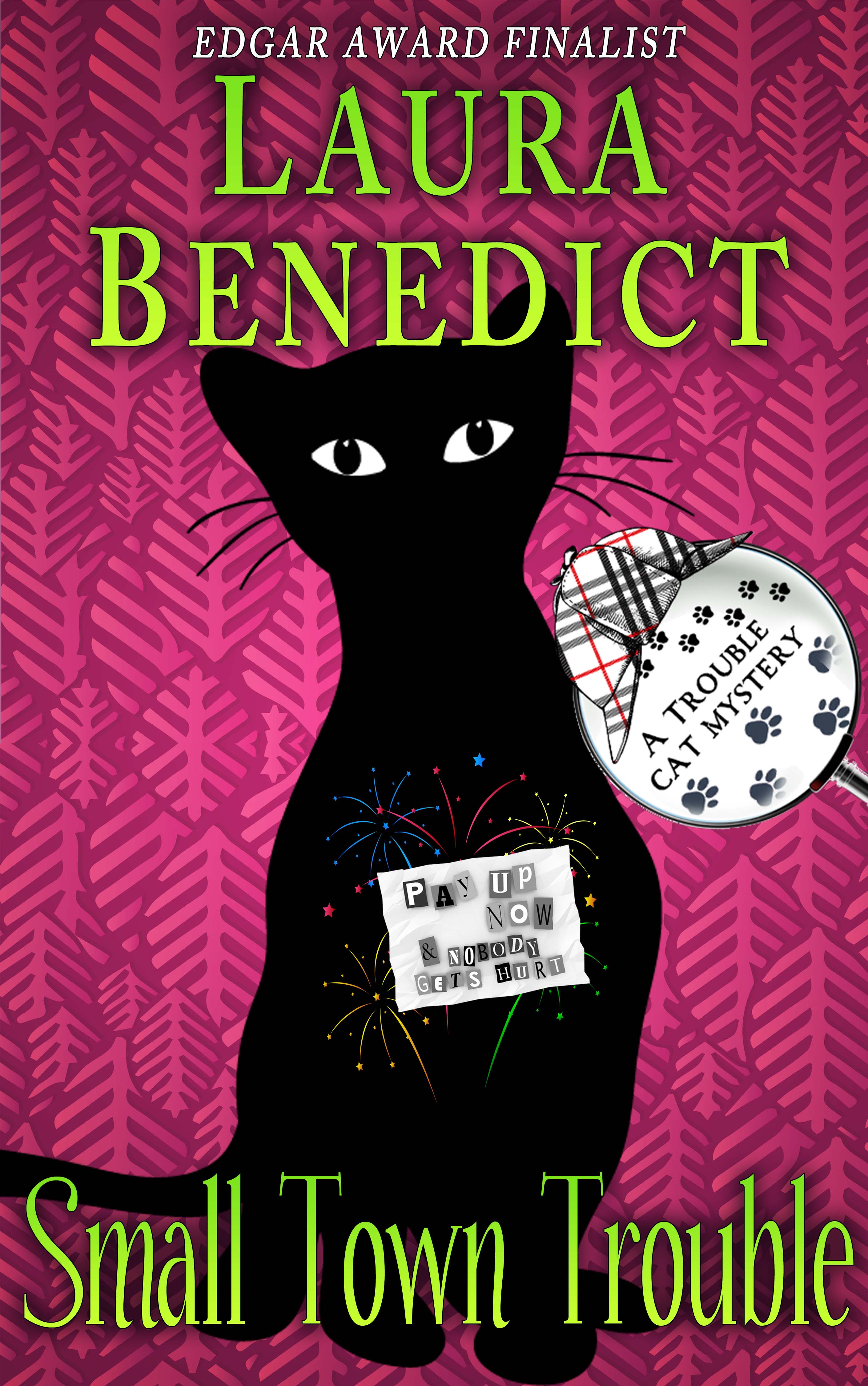 Small Town Trouble (Trouble Cat Mysteries, #5)