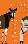 Book cover for What You Can See From Here
