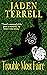 Trouble Most Faire (Trouble Cat Mysteries, #11)