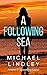 A Following Sea by Michael Lindley