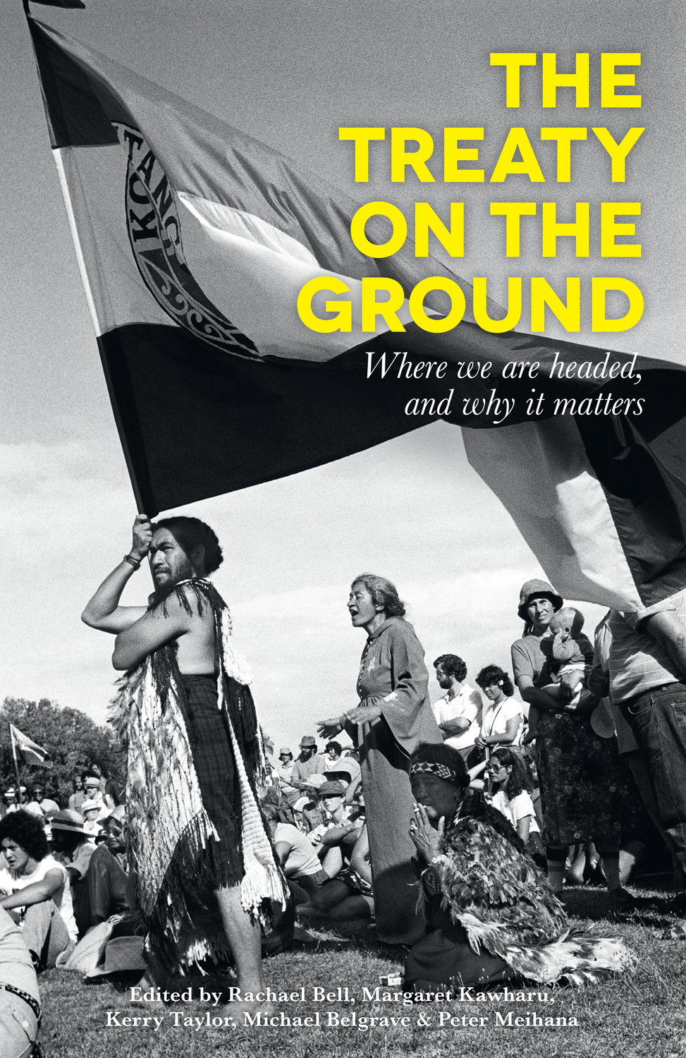 The Treaty on the Ground: Where we are headed, and why it matters (Paperback)