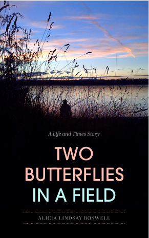 Two Butterflies in a Feild (Paperback)