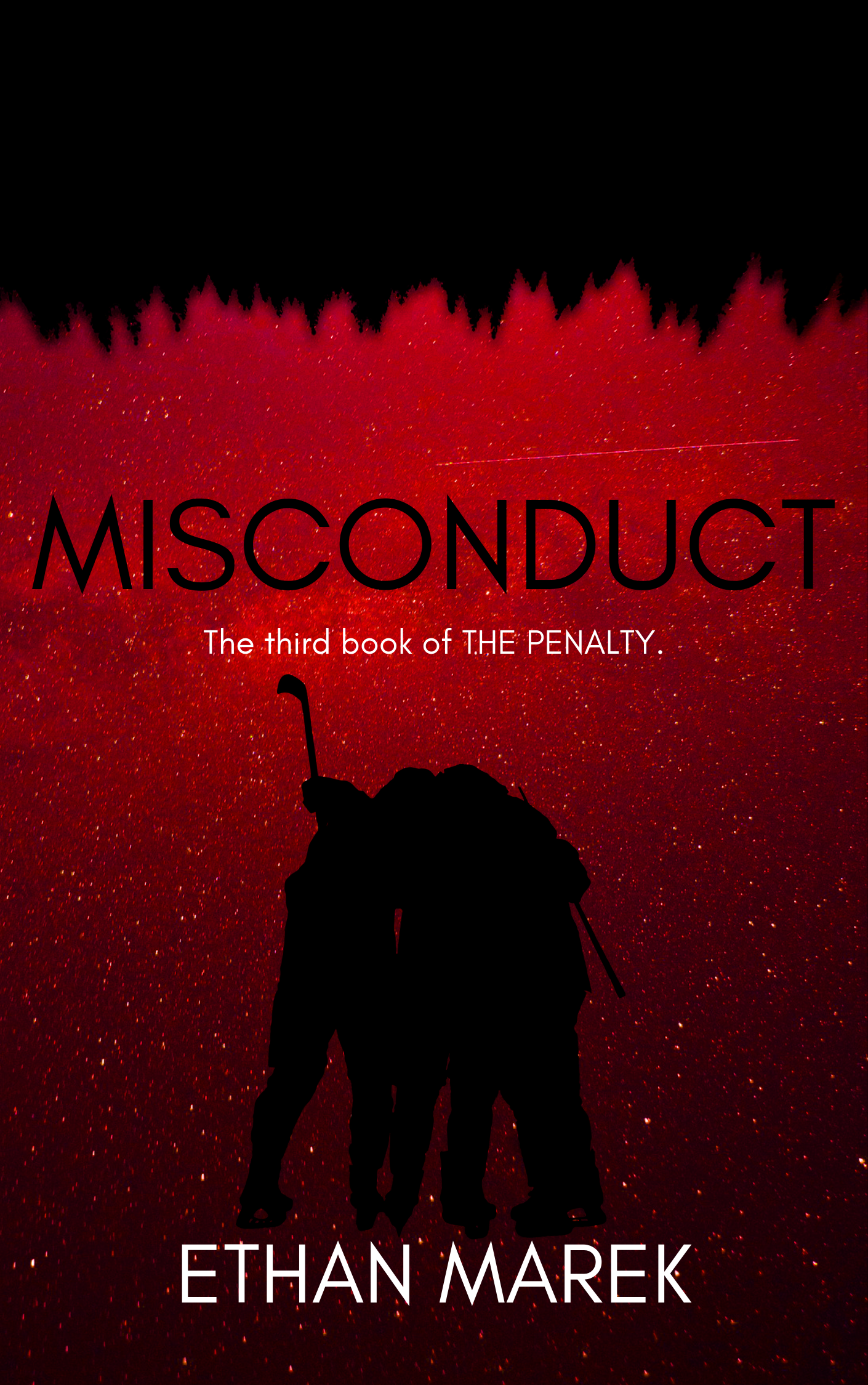 Misconduct (The Penalty, #3)