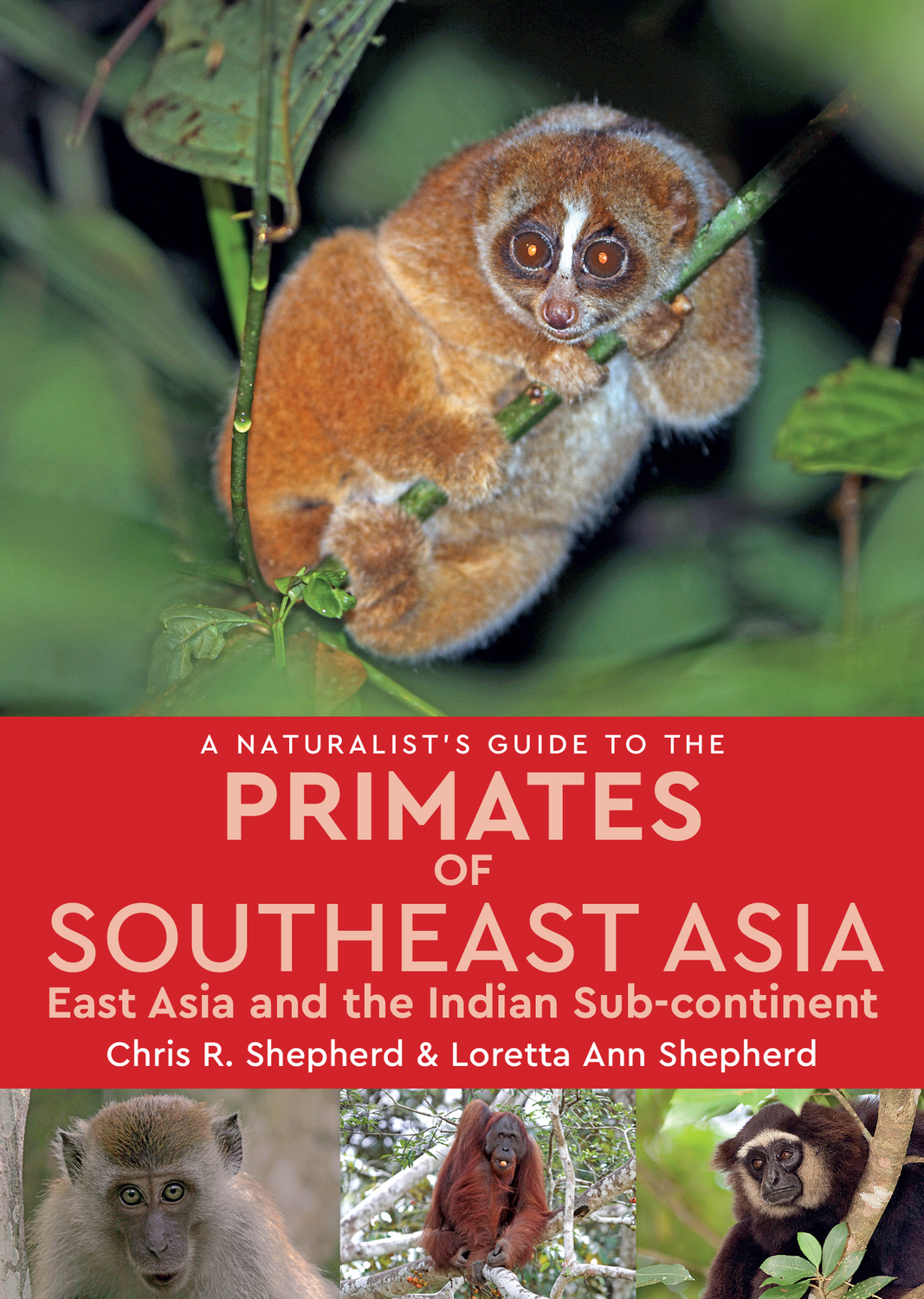 A Naturalist's Guide to the Primates of Southeast Asia: East Asia and the Indian Sub-continent