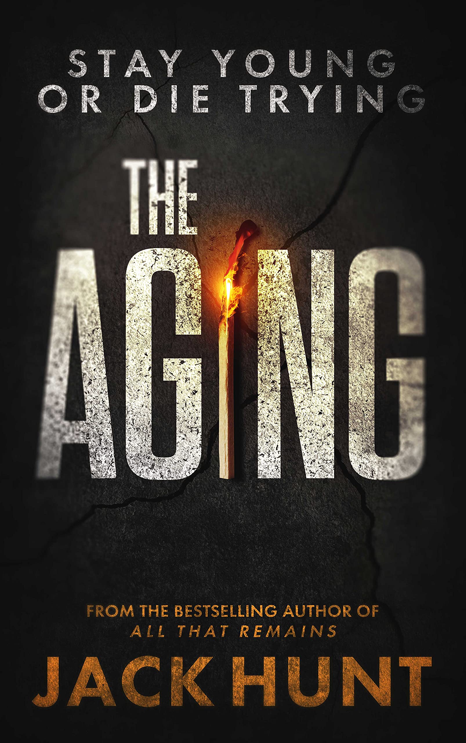 The Aging (Kindle Edition)