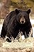 Tracking the American Black Bear