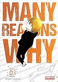 Many Reasons Why, Tome 3