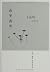 In and Outside the Mountain:Wang Dingjuns Work Series (Chinese Edition)