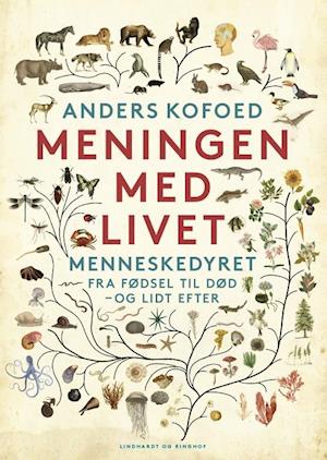 Meningen med livet - Menneskedyret fra fødsel til død - og lidt efter