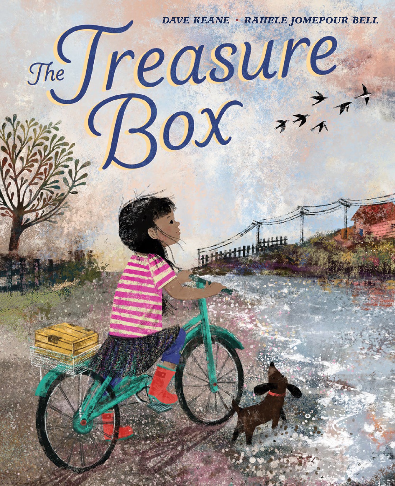 The Treasure Box (Hardcover)