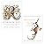 Metazoa / Other Minds by Peter Godfrey-Smith