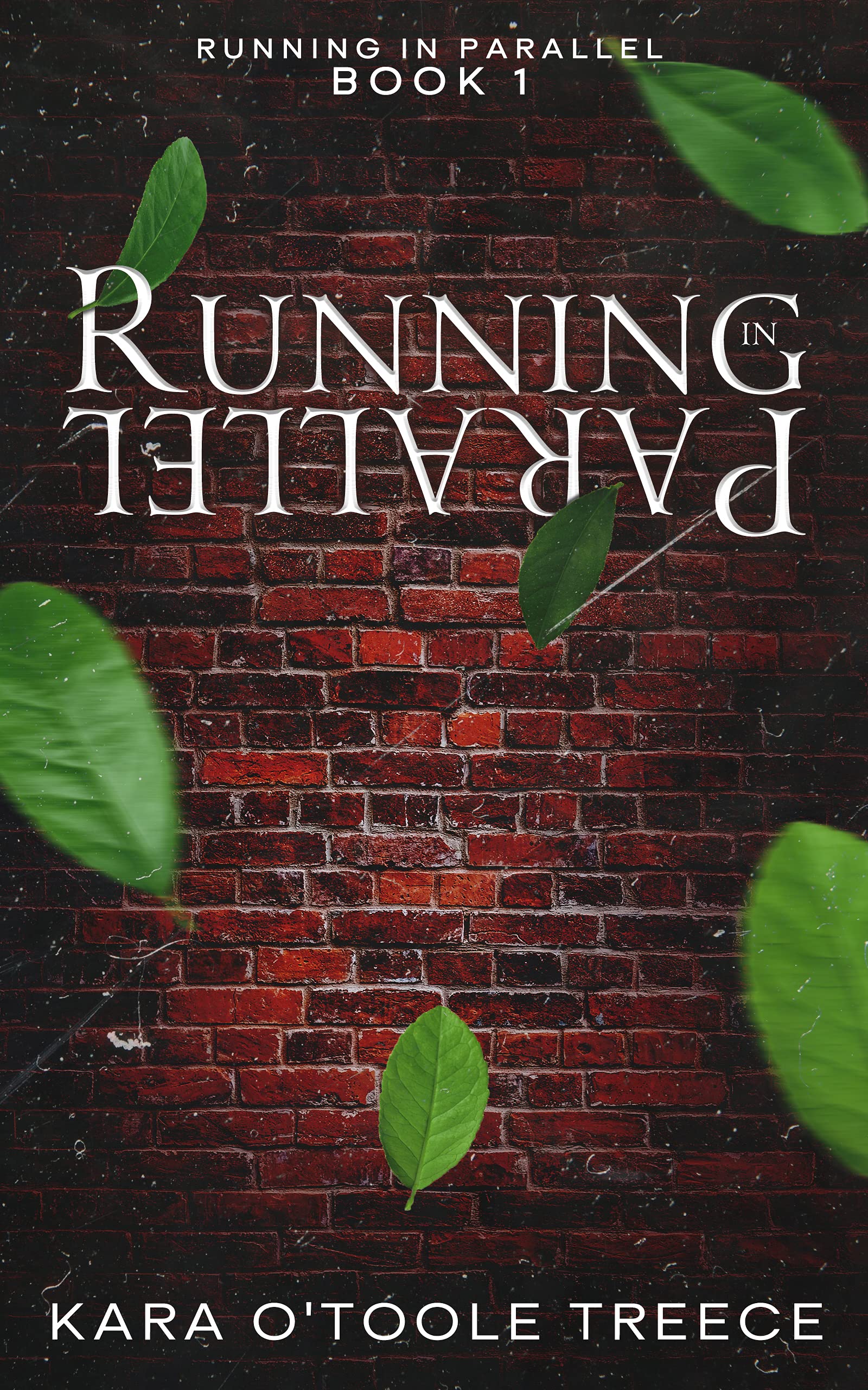Running in Parallel: Running in Parallel Book 1 (Kindle Edition)
