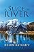 A Slice of River