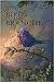 Of Birds and Branches by Frances Pauli