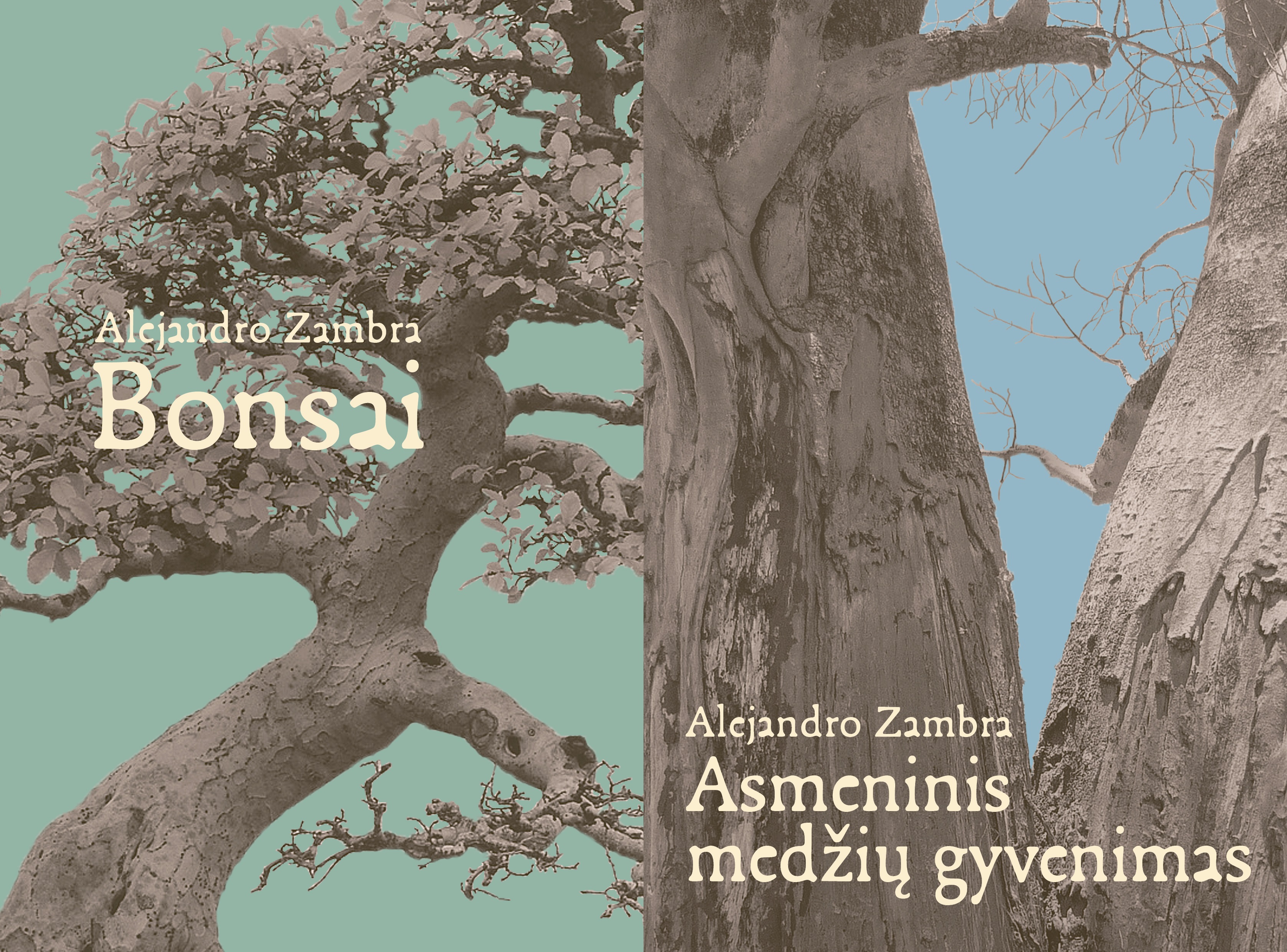 Bonsai / Asmeninis medžių gyvenimas