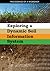 Exploring a Dynamic Soil In...