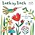 Inch by Inch: A Lift-the-Flap Book (Leo Lionni's Friends)