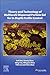 Theory and Technology of Multiscale Dispersed Particle Gel for In-Depth Profile Control