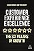 Customer Experience Excelle...