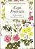 Cape Peninsula (South African wild flower guide 3)