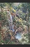 Ma Narmada PariCa...