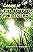 Essays on Filipino Philosophy