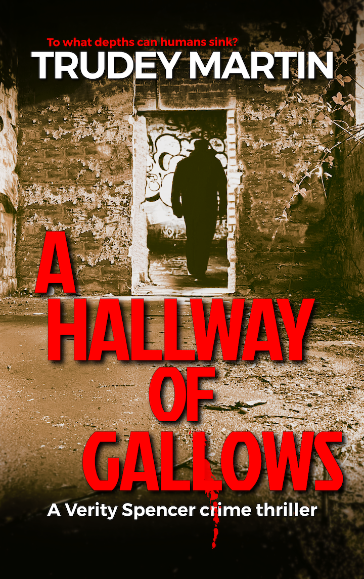 A Hallway of Gallows (Verity Spencer #2)