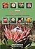 Grow Proteas