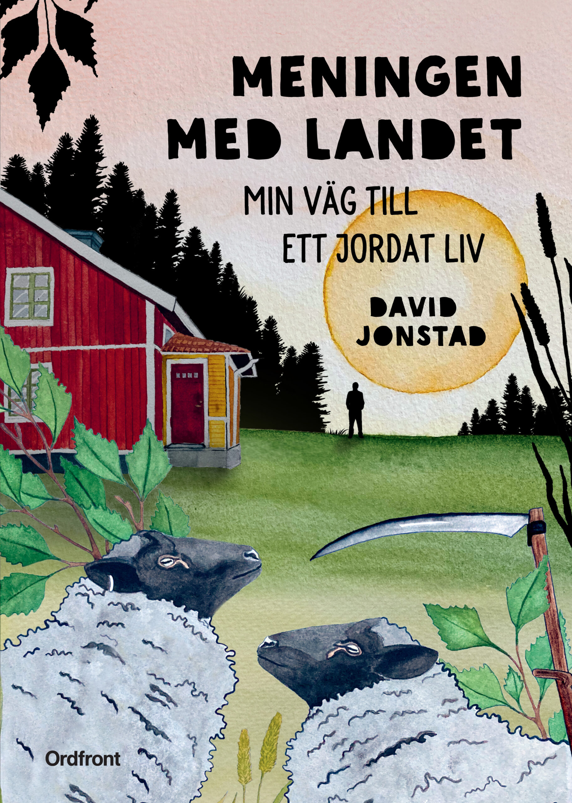 Meningen med landet (Hardcover)