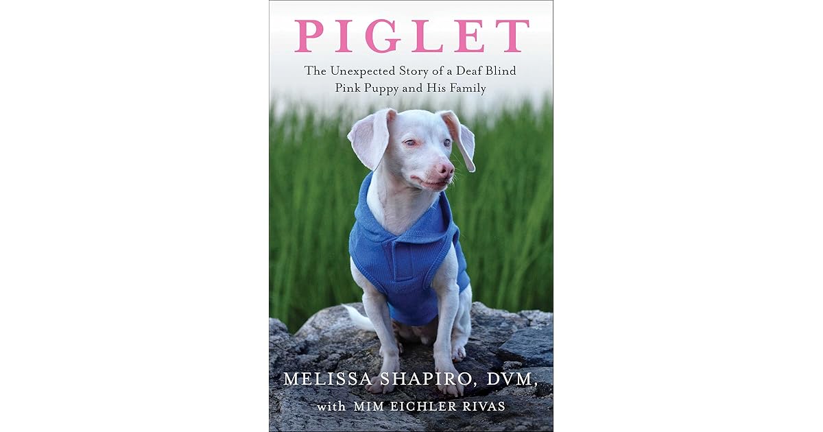 Piglet The Unexpected Story of a Deaf, Blind, Pink Puppy and His(02)