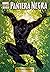 Los años 2000: El Renacimiento de Marvel 2: Pantera Negra