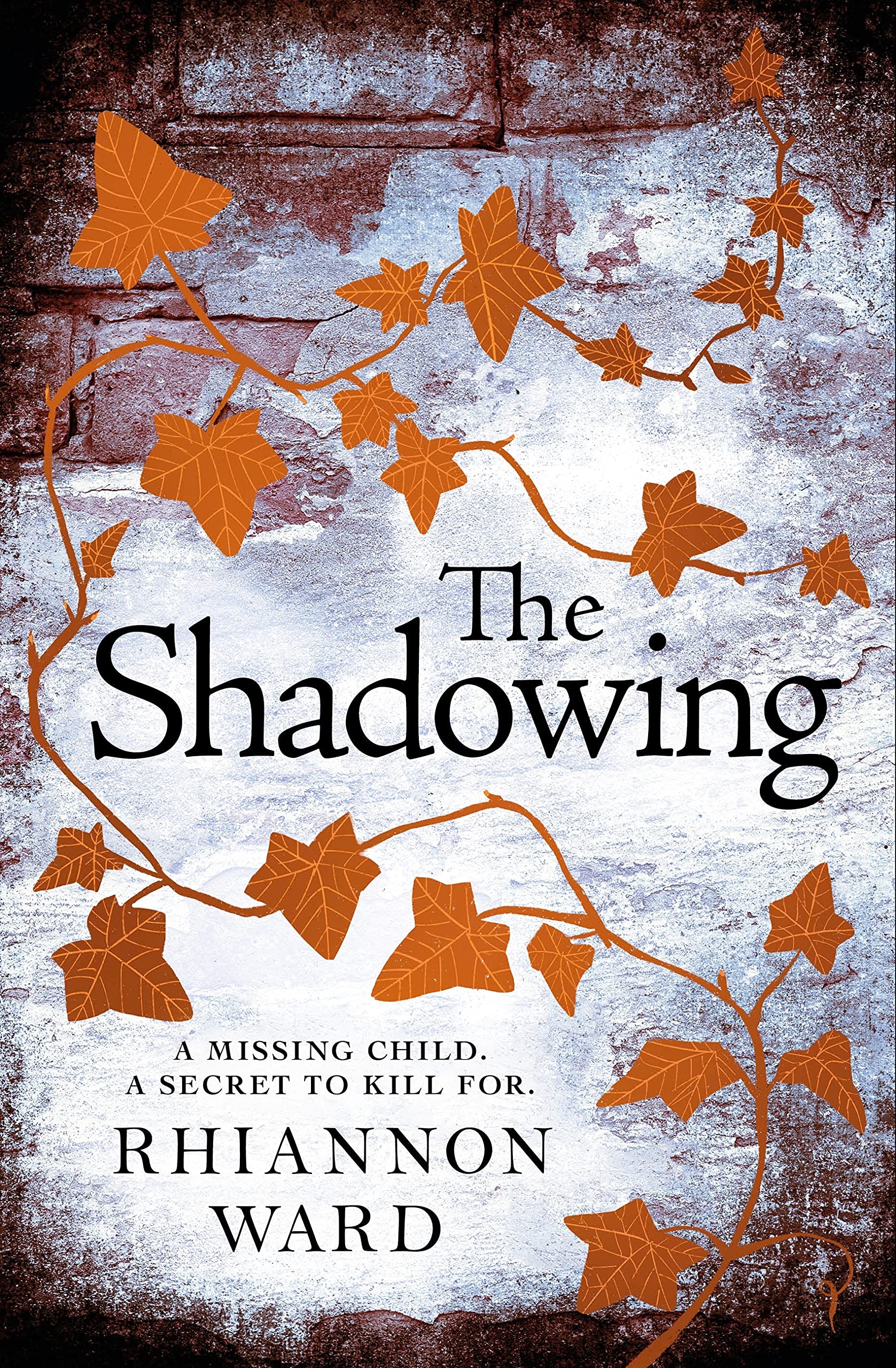 The Shadowing (Kindle Edition)