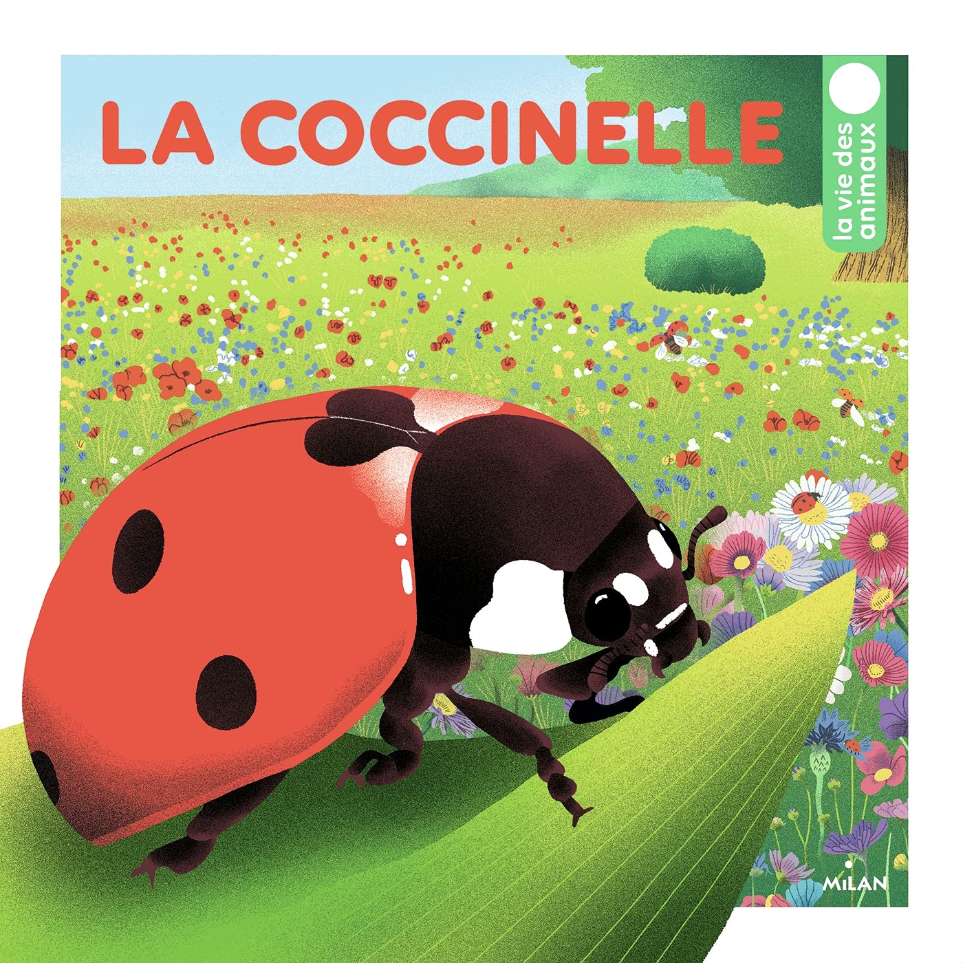 La coccinelle (La vie des animaux) (French Edition)