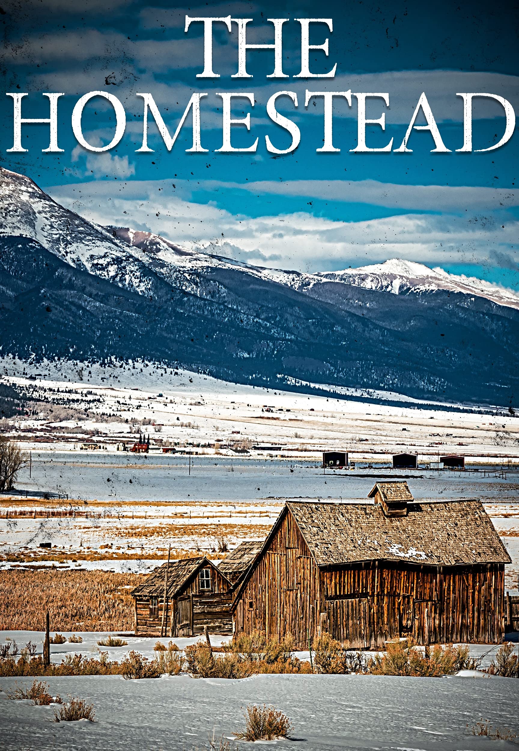 The Homestead EMP (EMP Survival in a Powerless World, #28)