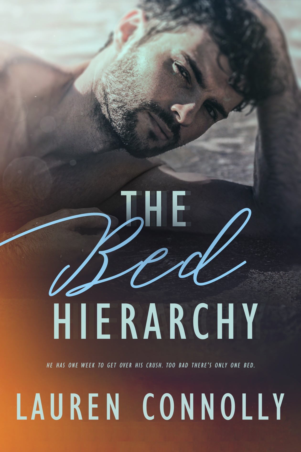 The Bed Hierarchy (Kindle Edition)