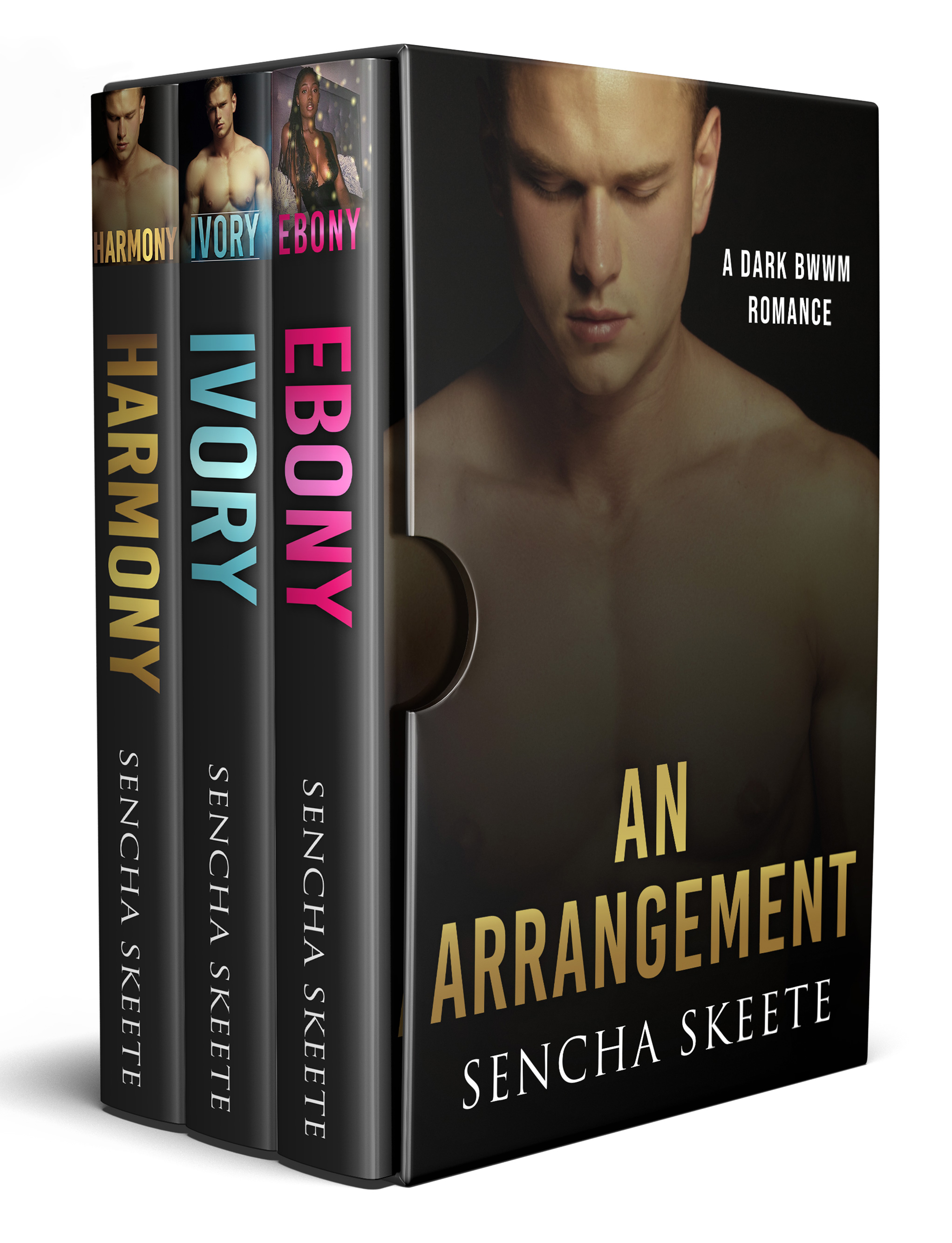 An Arrangement (A Dark BWWM Romance Boxset)