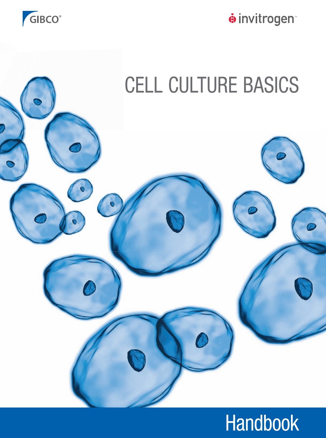 Cell Culture Basics