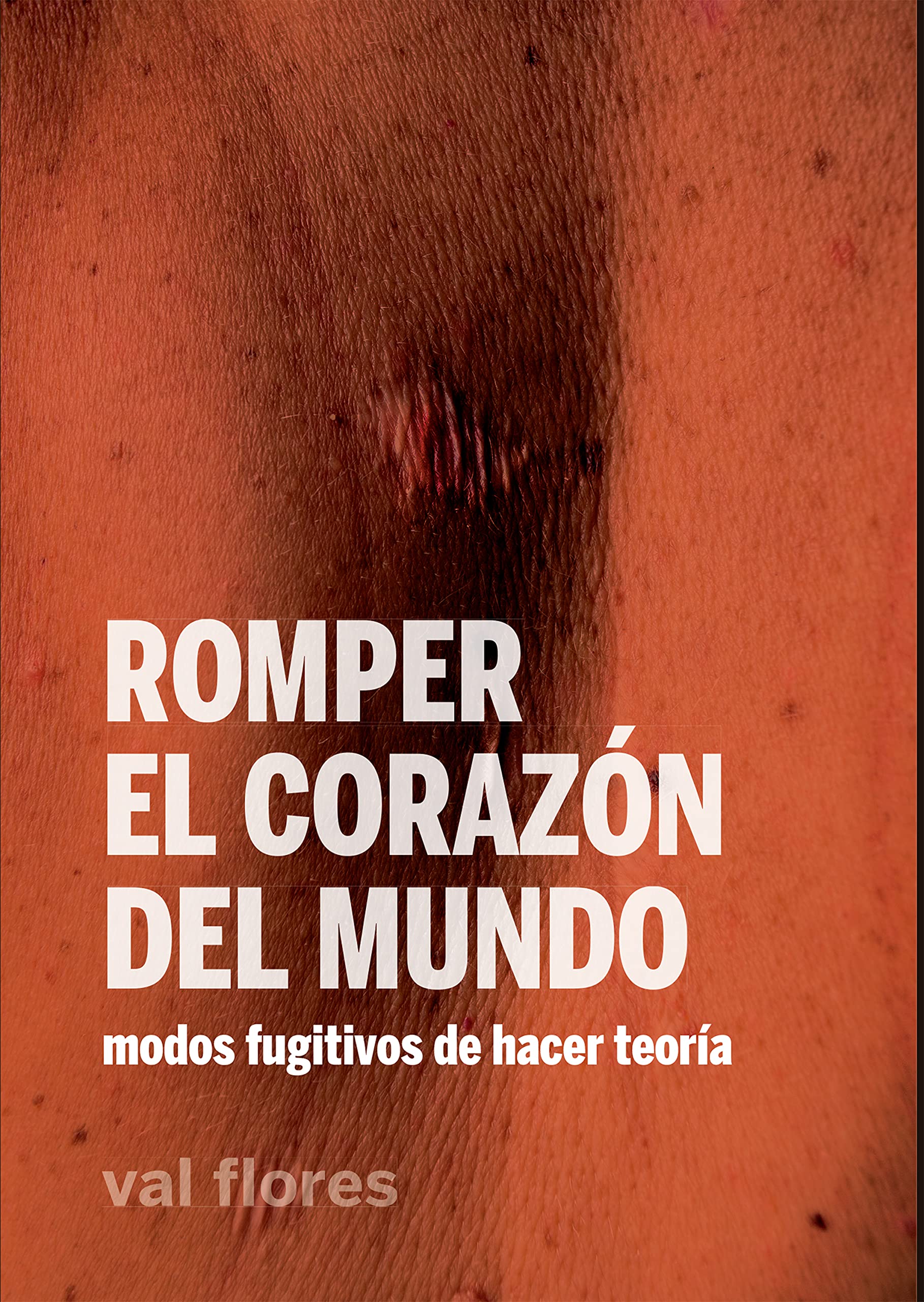 Romper el corazón del mundo: Modos fugitivos de hacer teoría (La pasión de Mary Read nº 24) (Spanish Edition)