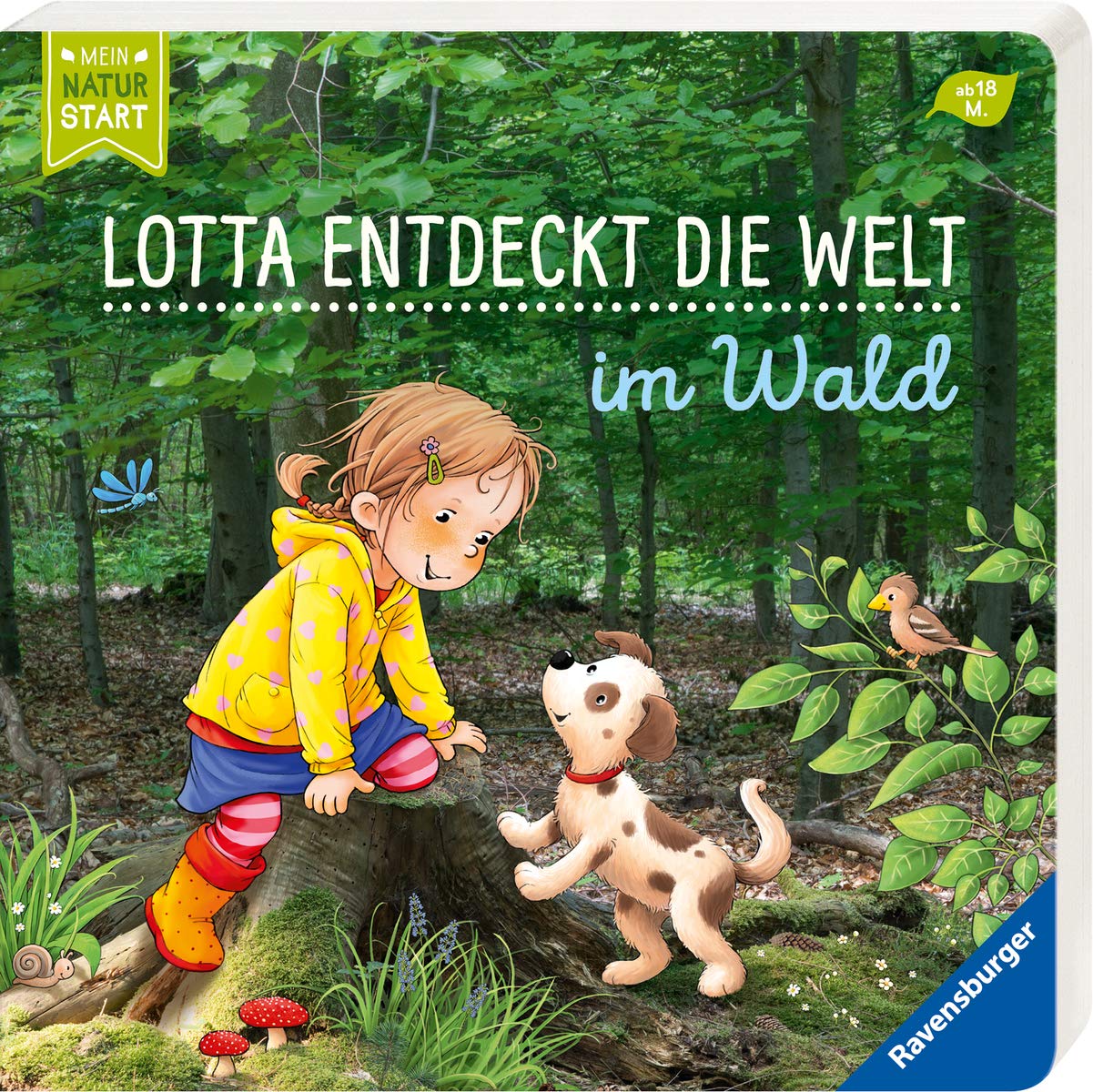 Lotta entdeckt die Welt: Im Wald (Board book)