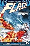 The Flash, Vol. 3...