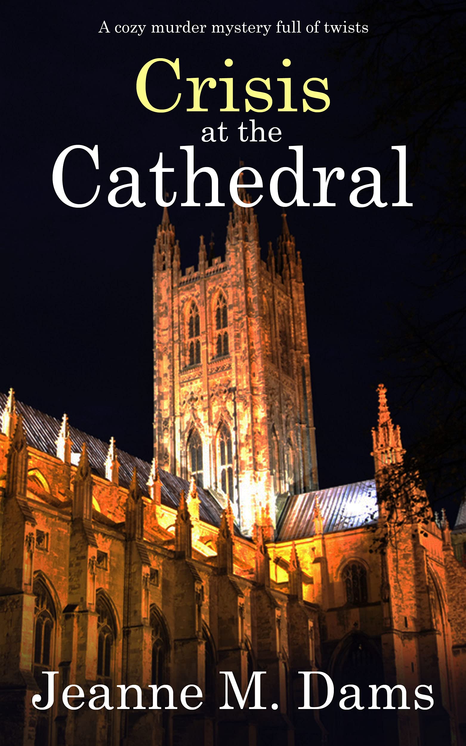 Crisis at the Cathedral  (Dorothy Martin #20)